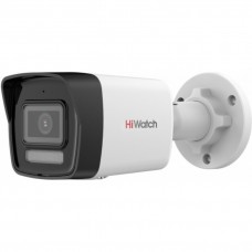 HiWatch DS-I450M(C)(4mm)